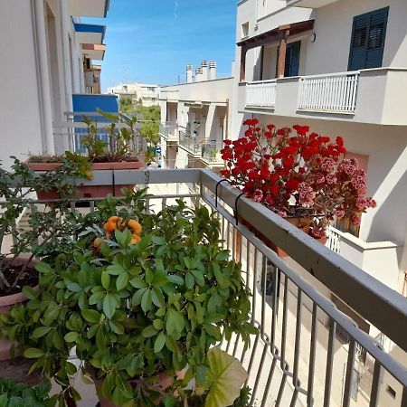 B&B Famigliare Arcadia Polignano 滨海波利尼亚诺 外观 照片