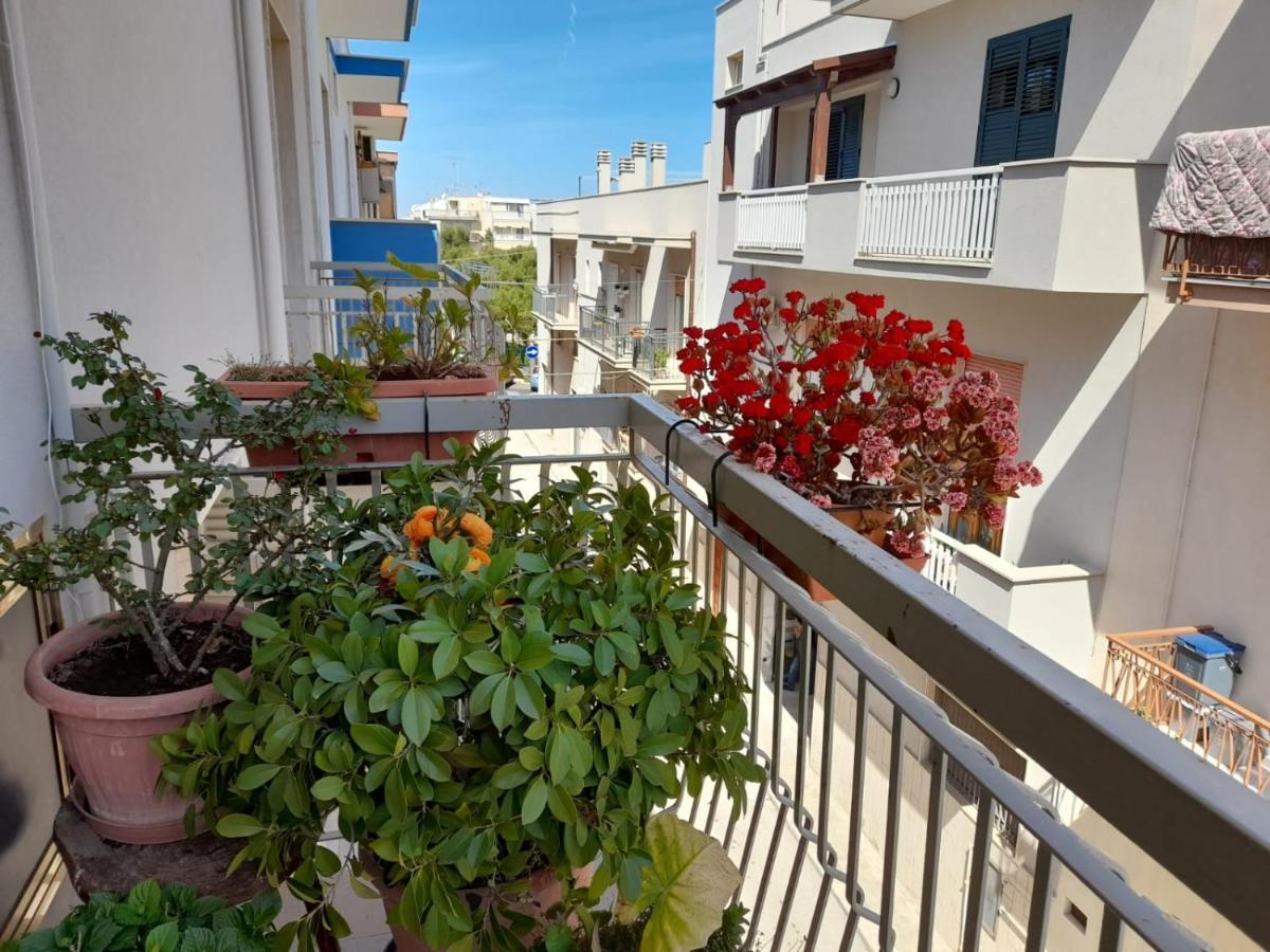 B&B Famigliare Arcadia Polignano 滨海波利尼亚诺 外观 照片